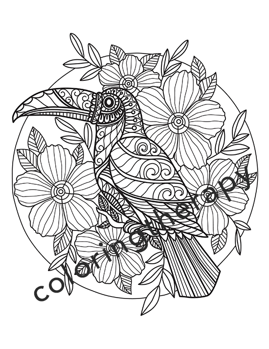 Free adult coloring pages pdf to download