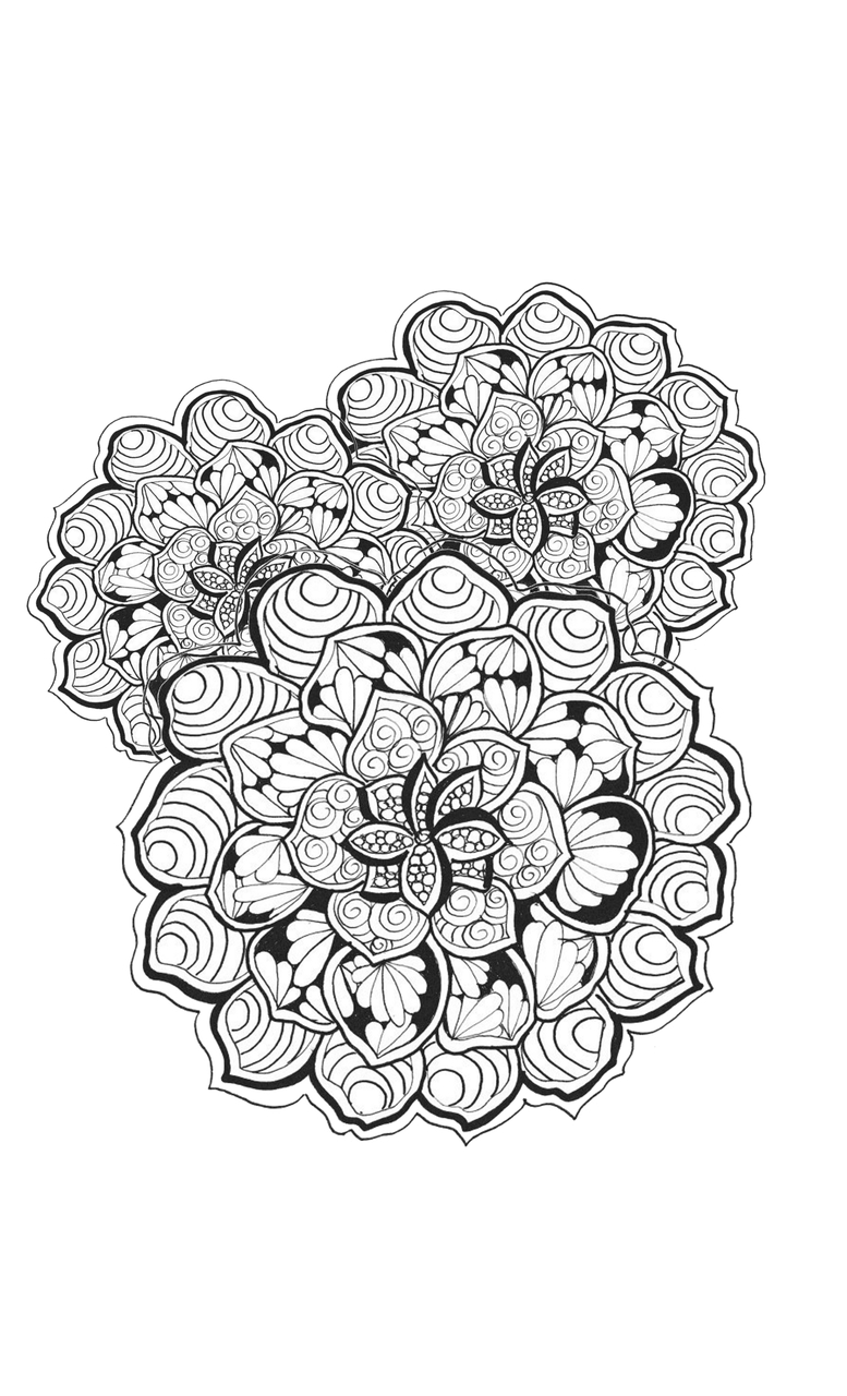 Free coloring sheet succulents