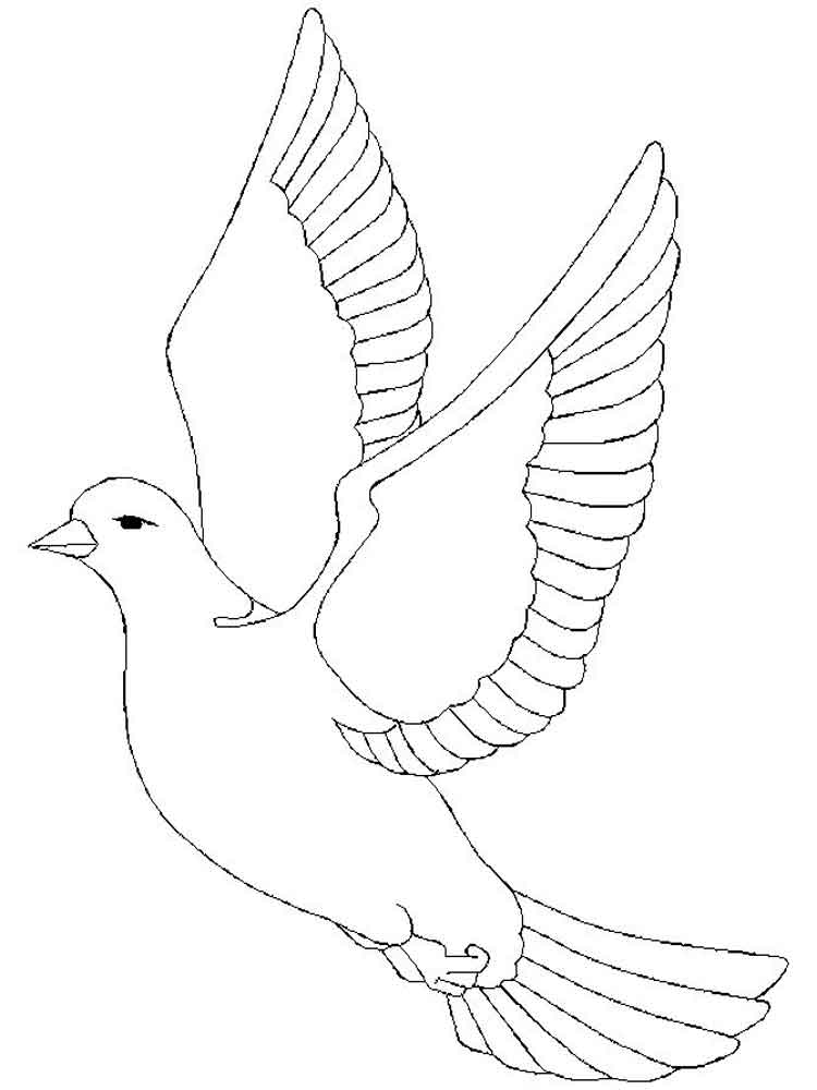 Peace dove flying coloring page
