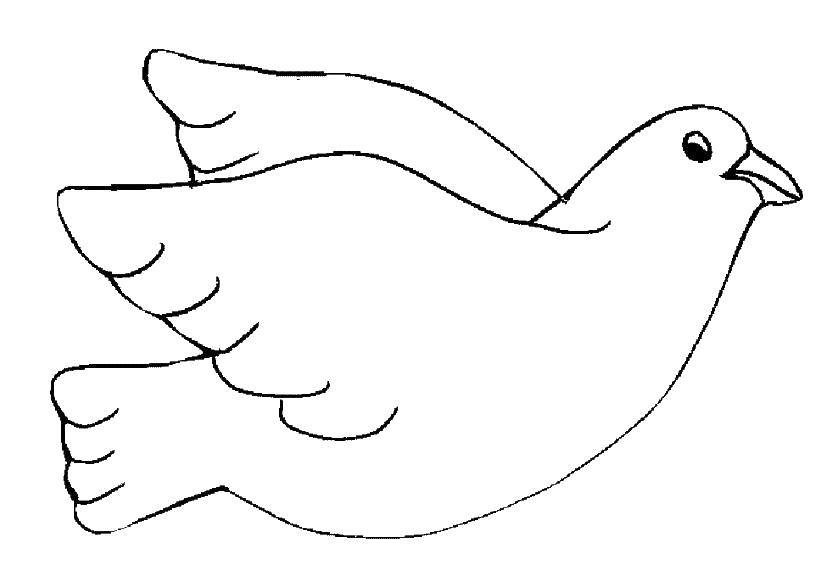 Online coloring pages dove coloring dove the dove of peace