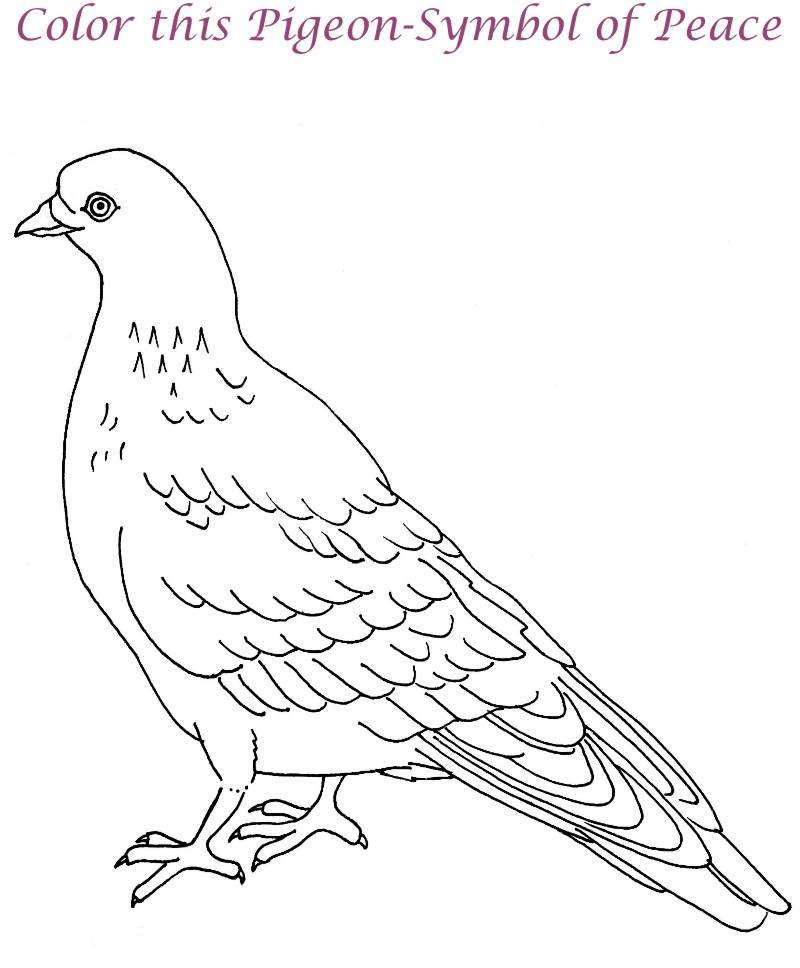 Dove printable coloring page for kids