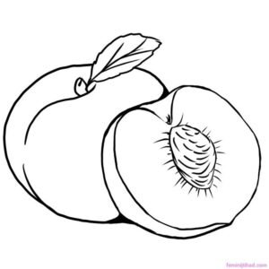 Peach coloring pages printable for free download