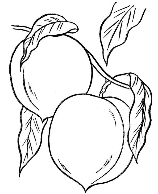 Peach coloring pages