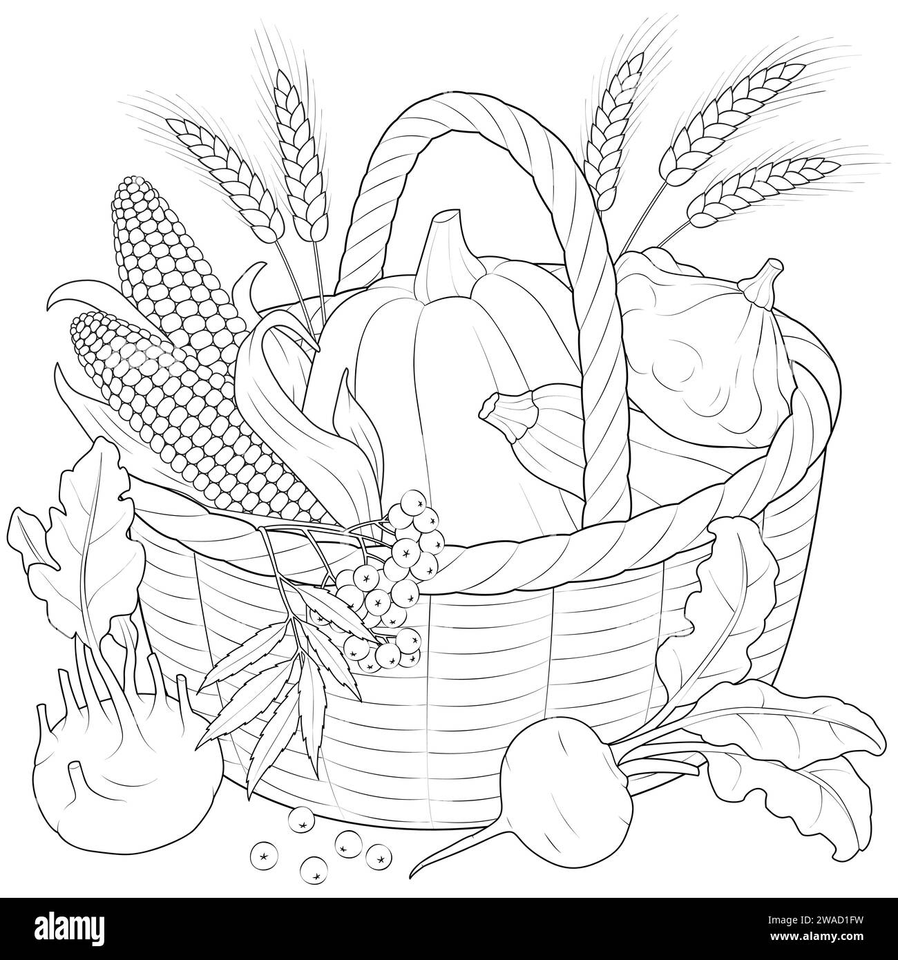 Fruits vegetables coloring book hi