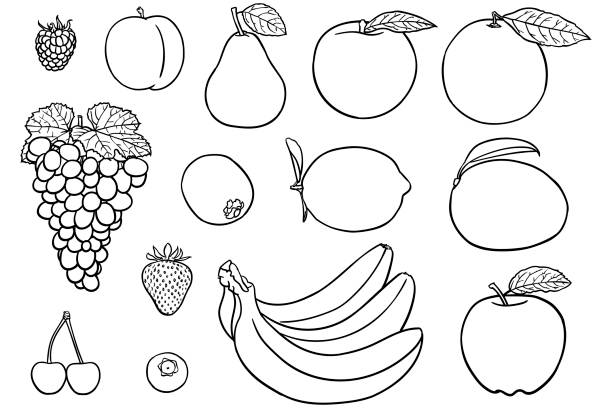 Fruit coloring pages stock illustrations royalty