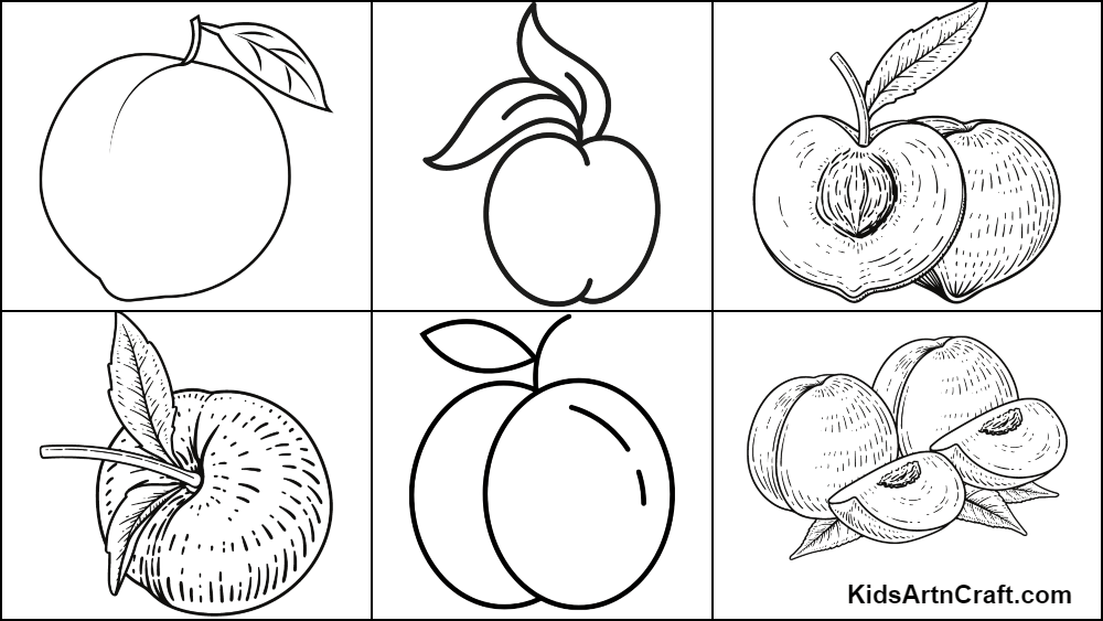 Peach coloring pages for kids â free printables