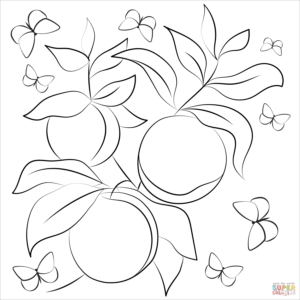 Peach coloring pages printable for free download