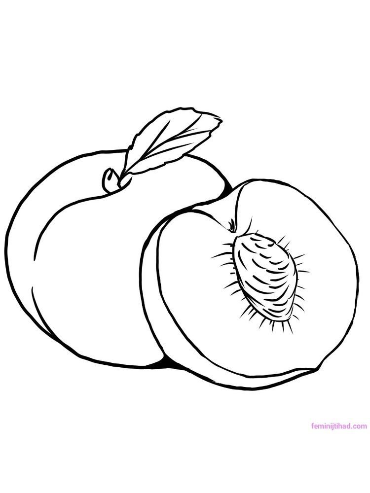 Peach coloring pages printable for free download