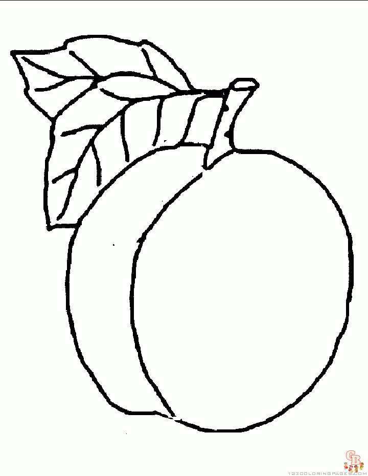 Enjoy fresh and juicy peaches with our printable coloring pages