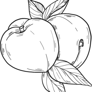 Peach coloring pages printable for free download