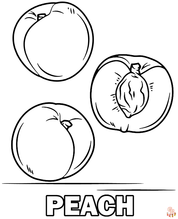 Enjoy fresh and juicy peaches with our printable coloring pages