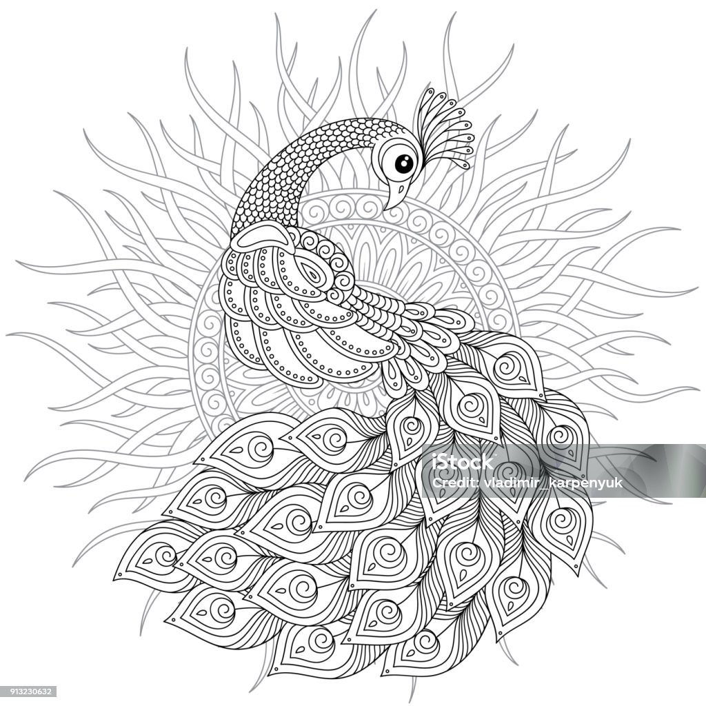 Peacock adult antistress coloring page stock illustration