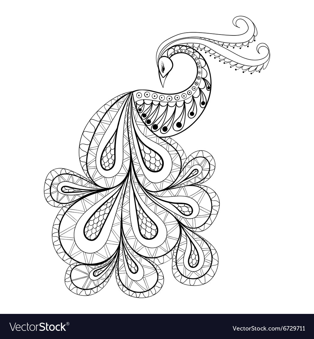 Hand drawn peacock for antistress coloring page vector image