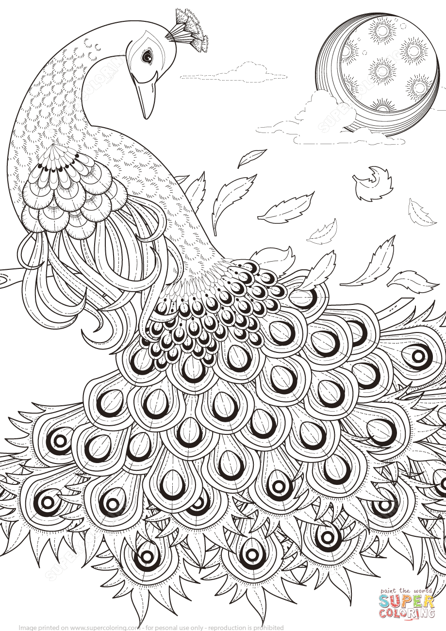 Graceful peacock coloring page free printable coloring pages