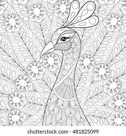 Peacock coloring pages images stock photos d objects vectors