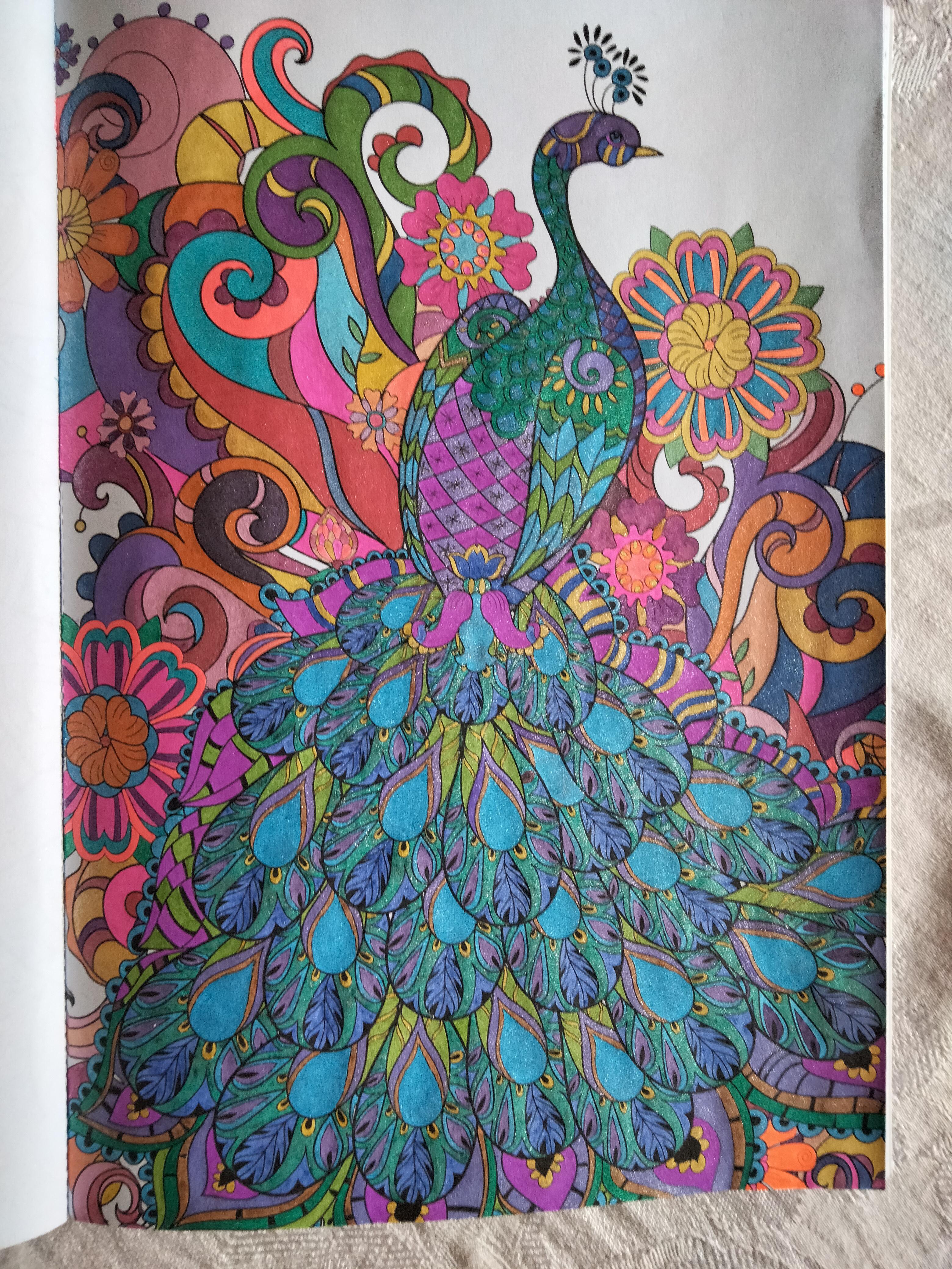 My first peacock rcoloring