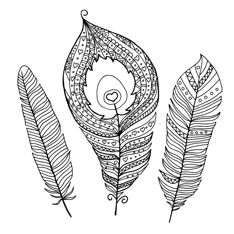 Collection of abstract peacock feathers for coloring book stock vector