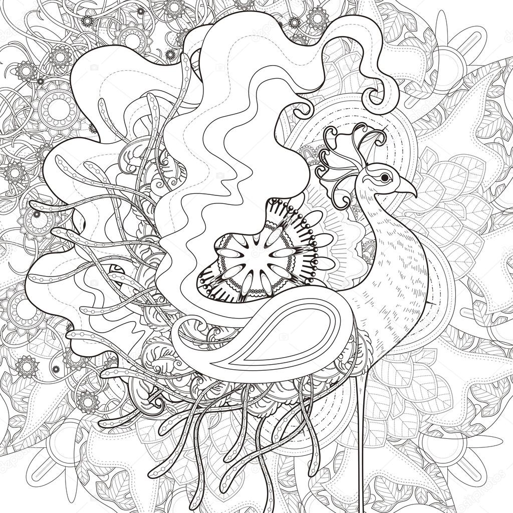 Attractive peacock coloring page stock vector by kchungtw