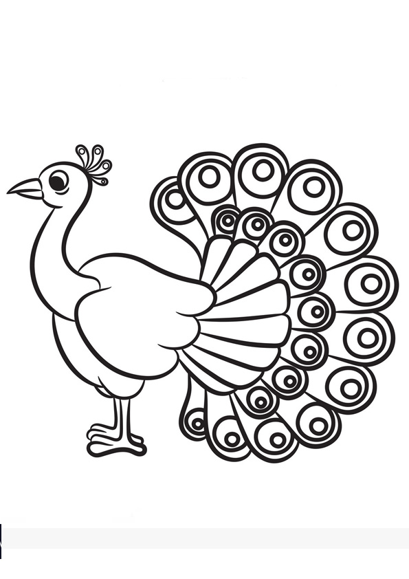 Coloring pages beautiful peacock coloring pages