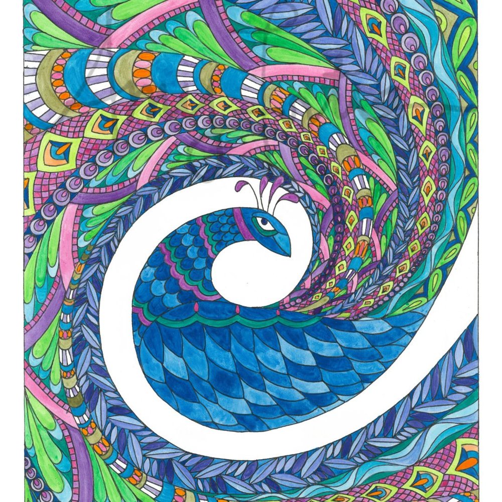 Peacock mandala coloring poster â amy fortier