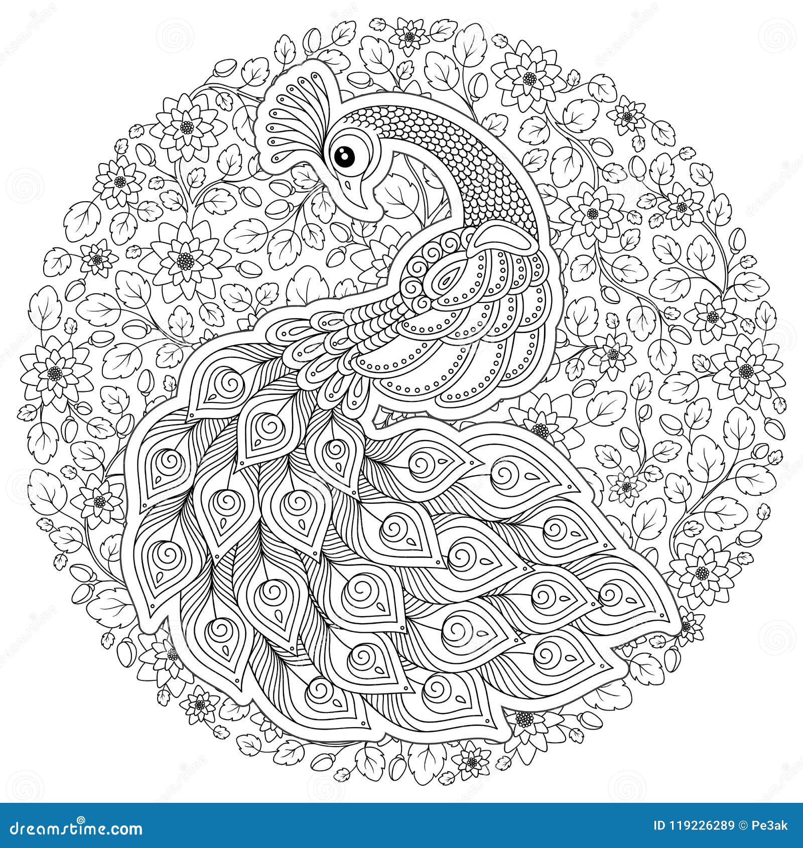 Peacock in zentangle style adult antistress coloring page stock vector