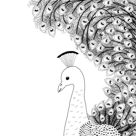 Peacock black and white stock illustrations cliparts and royalty free peacock black and white vectors