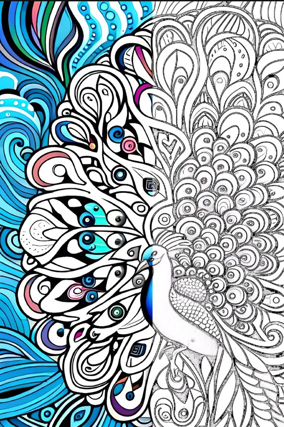 Pack of peacock coloring book instant download high quality bird colouring page adult coloring pages digital download