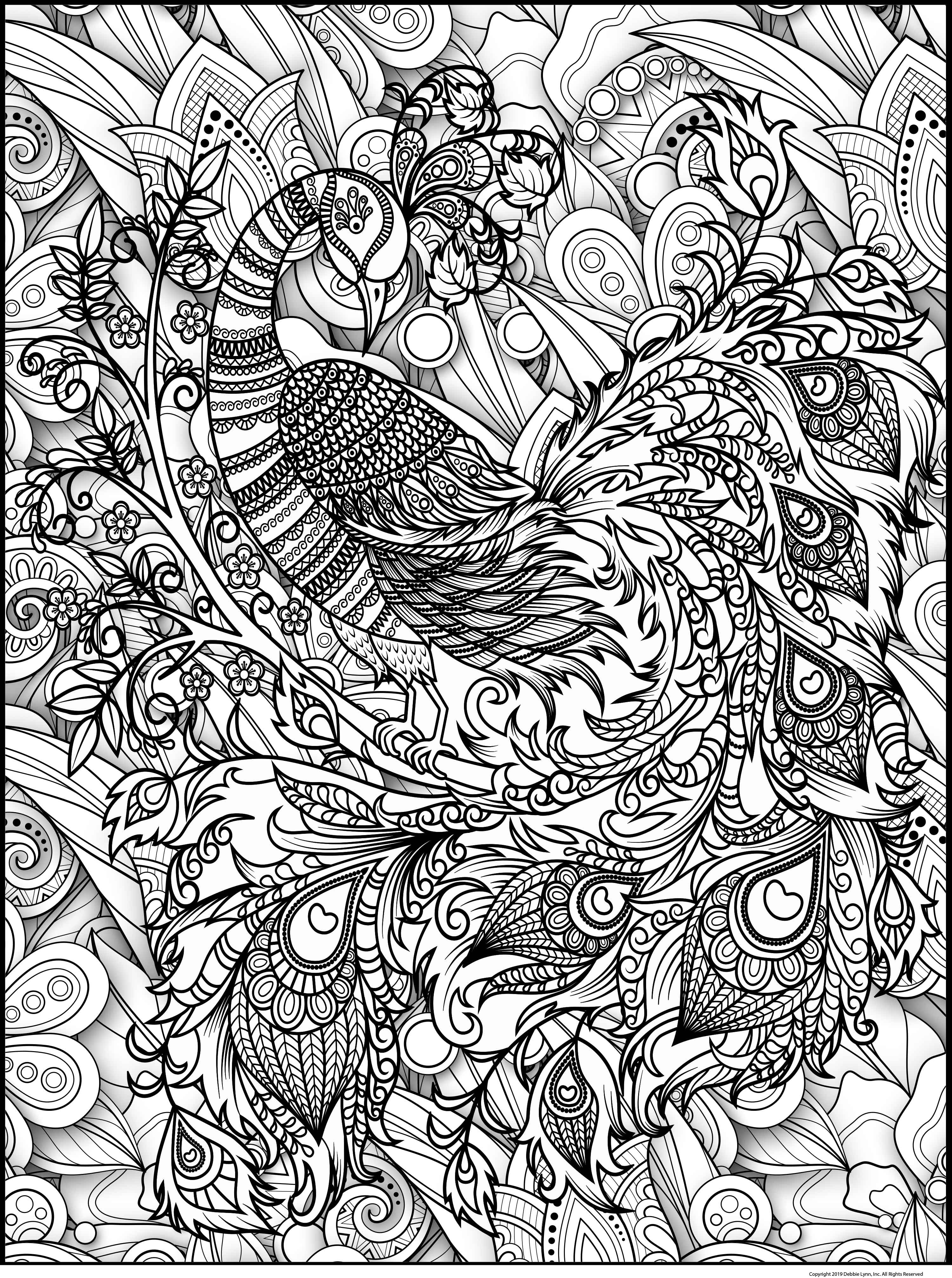 Peacock personalized giant coloring poster x â debbie lynn