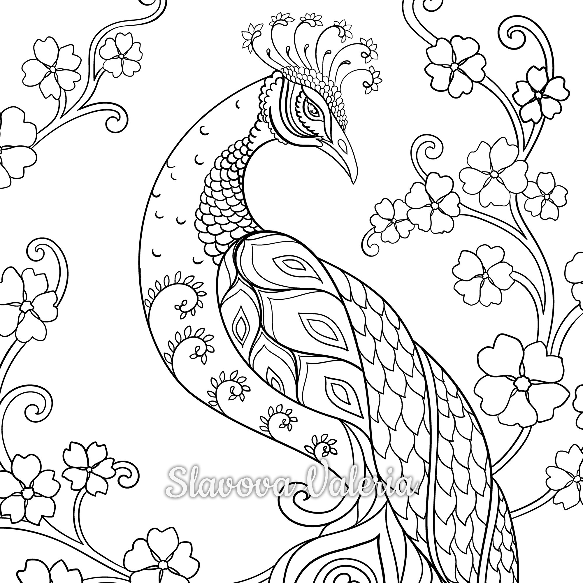 Peacock coloring page instant download pdf download printable coloring page