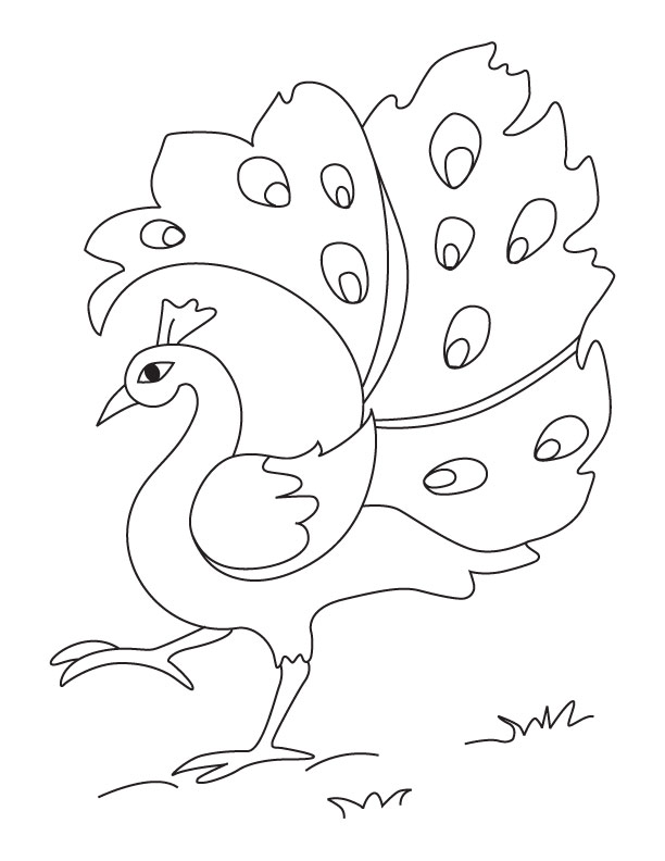 A dancing peacock coloring page download free a dancing peacock coloring page for kids best coloring pages