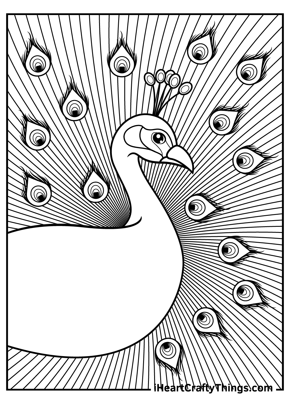 Peacocks coloring pages free printables