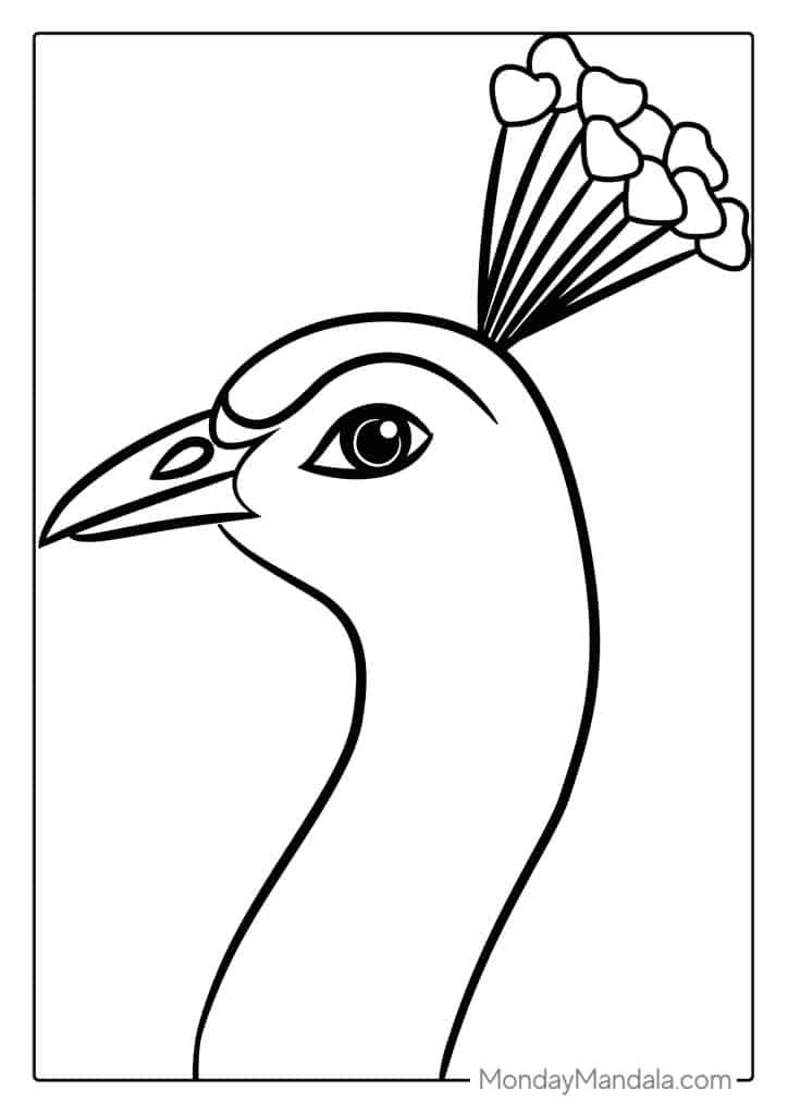 Peacock coloring pages free pdf printables