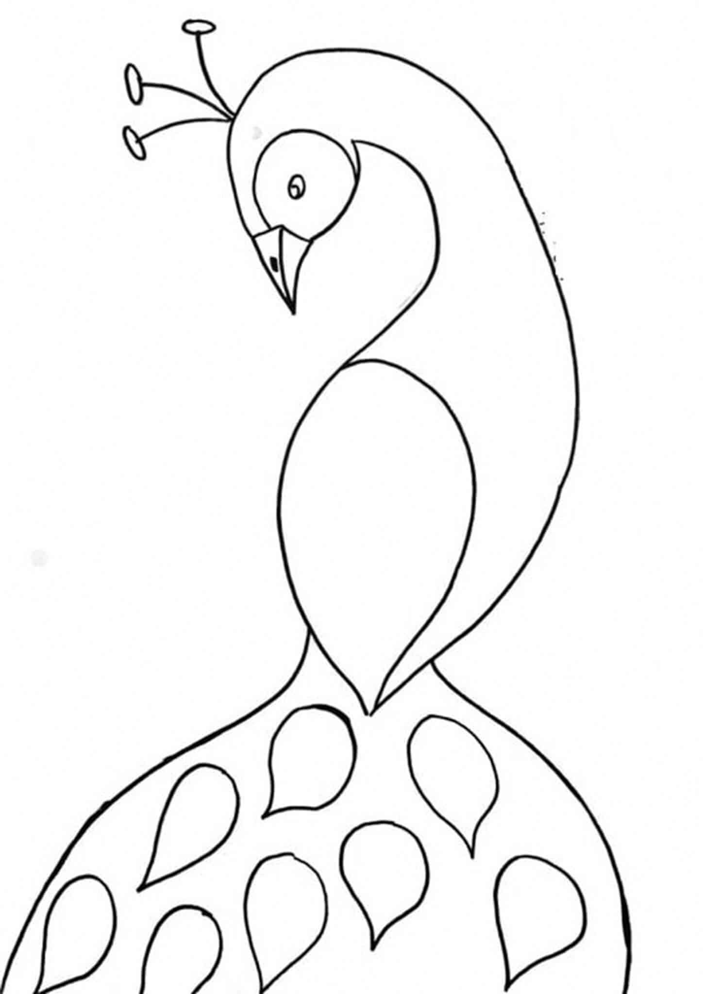 Free easy to print peacock coloring pages peacock coloring pages peacock drawing bird drawings