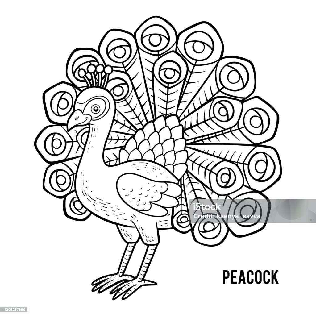 Coloring book peacock stock illustration