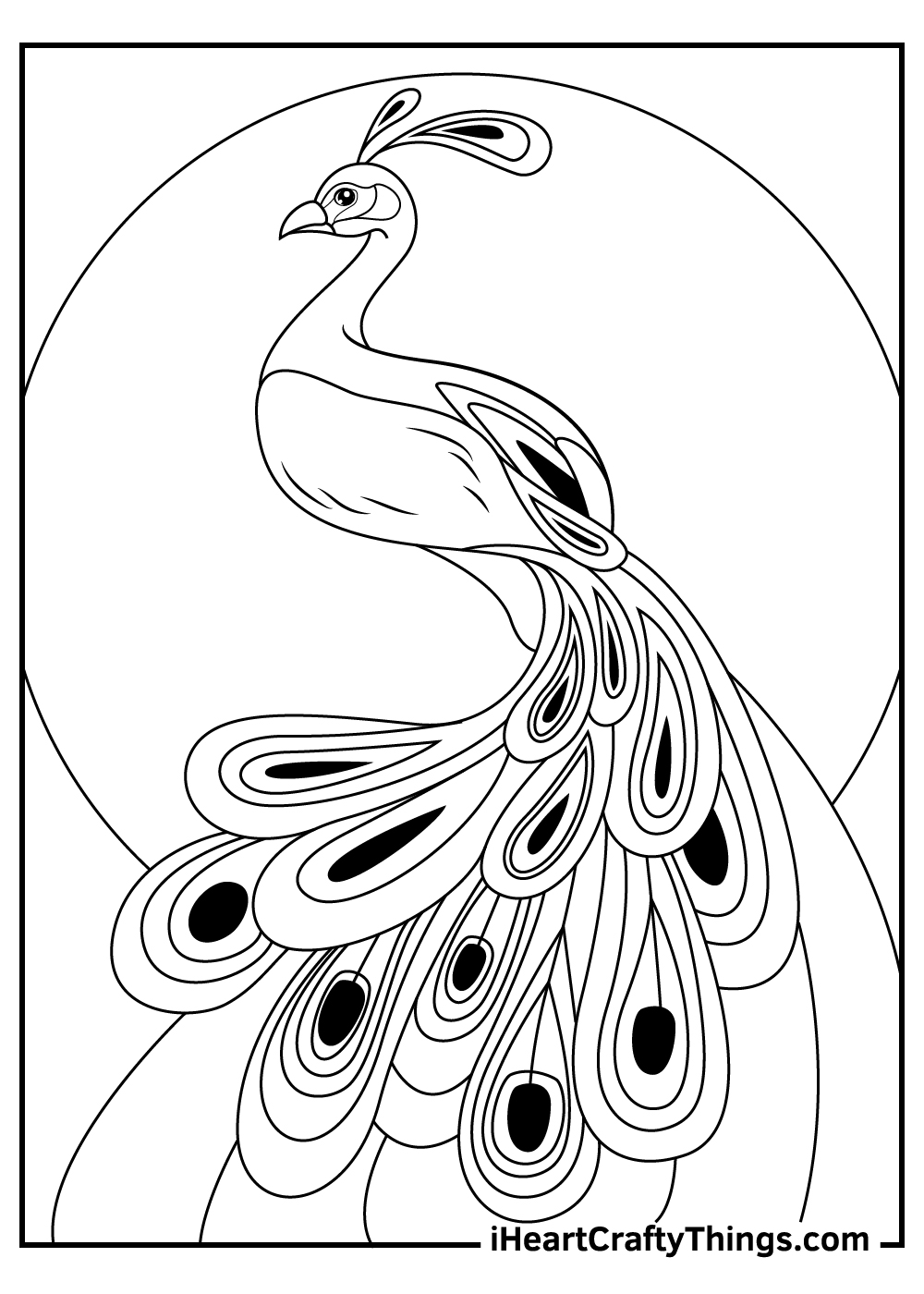 Peacocks coloring pages free printables