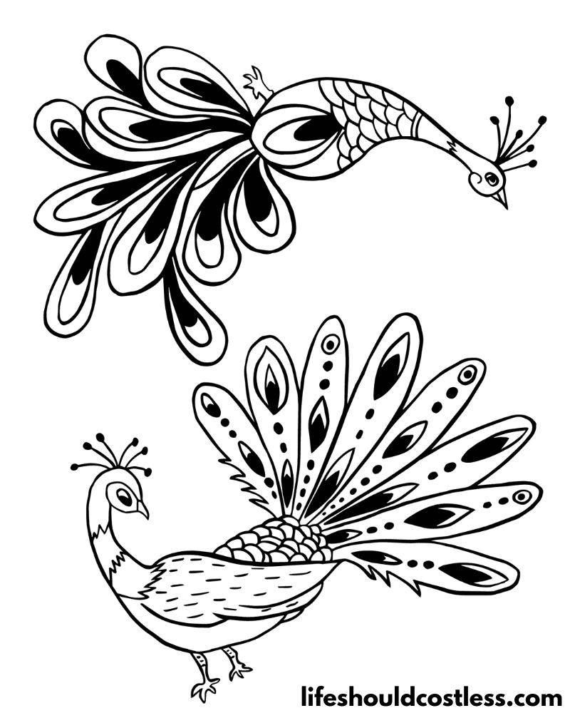 Peacock coloring pages free printable pdf templates