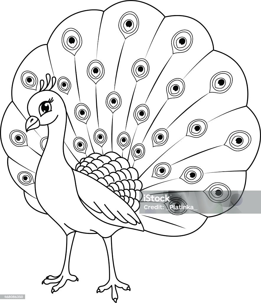 Peacock coloring page stock illustration