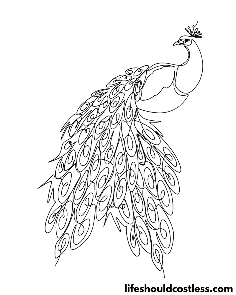 Peacock coloring pages free printable pdf templates