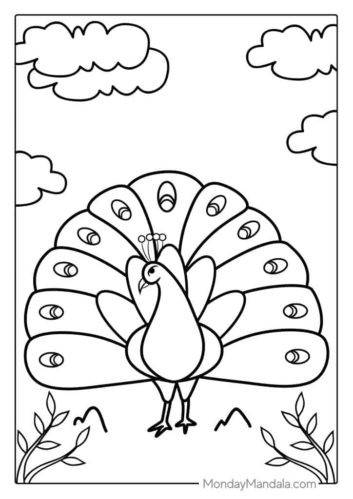 Peacock coloring pages free pdf printables