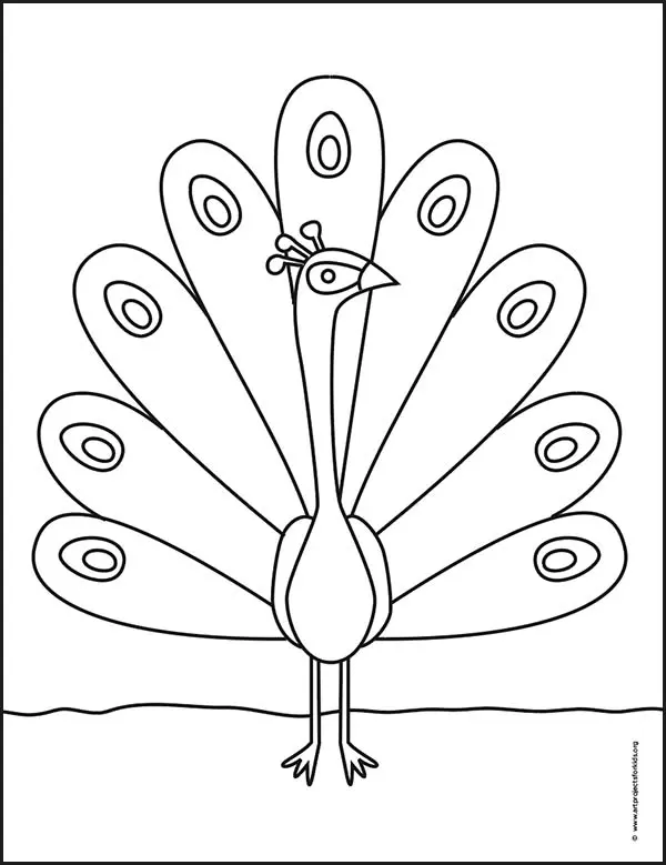 Easy how to draw peacock tutorial video and coloring page