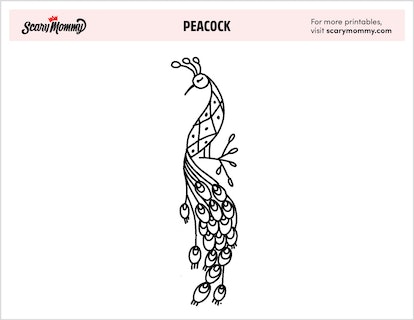 Shake your tail feathers these peacock coloring pages are wild