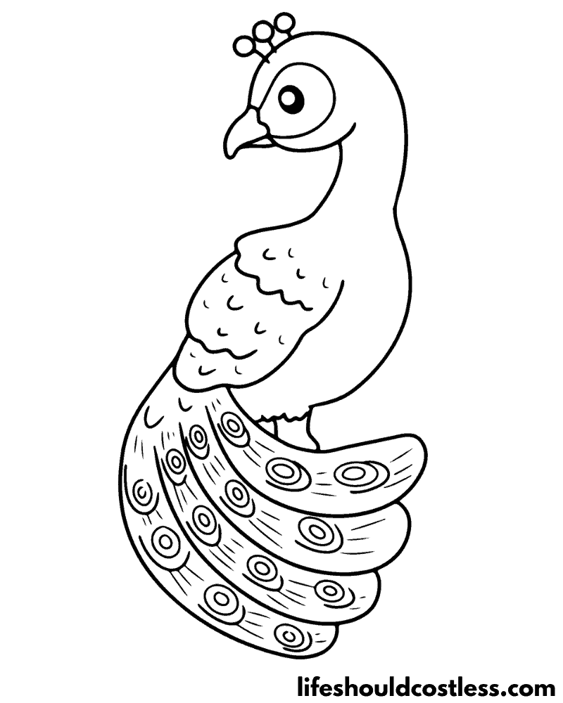 Peacock coloring pages free printable pdf templates