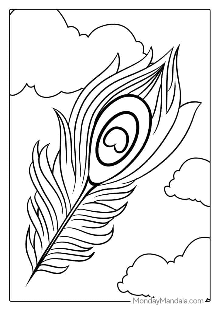 Peacock coloring pages free pdf printables