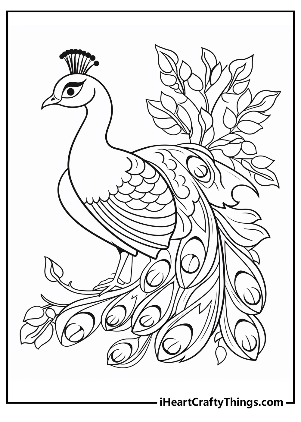 Peacocks coloring pages free printables