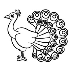 Outline peacock vector images over