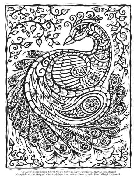 Free peacock adult coloring page