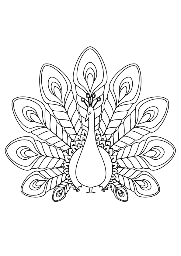 Coloring pages peacock coloring pages printable for kids