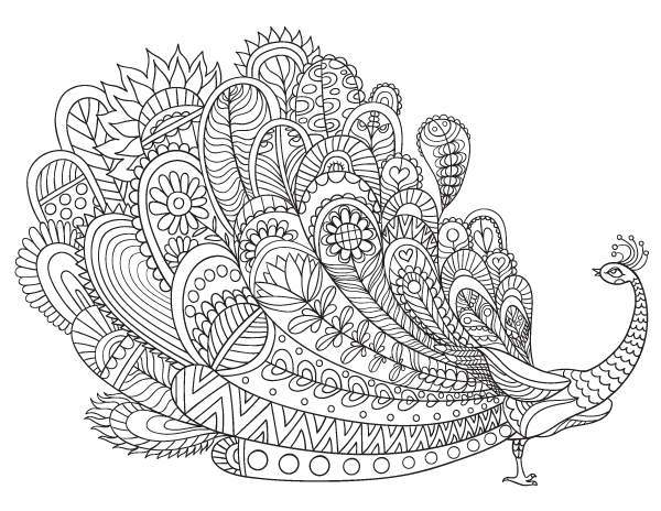 Peacock adult coloring page