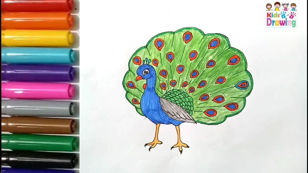 How to draw a peacock coloring pages for kids