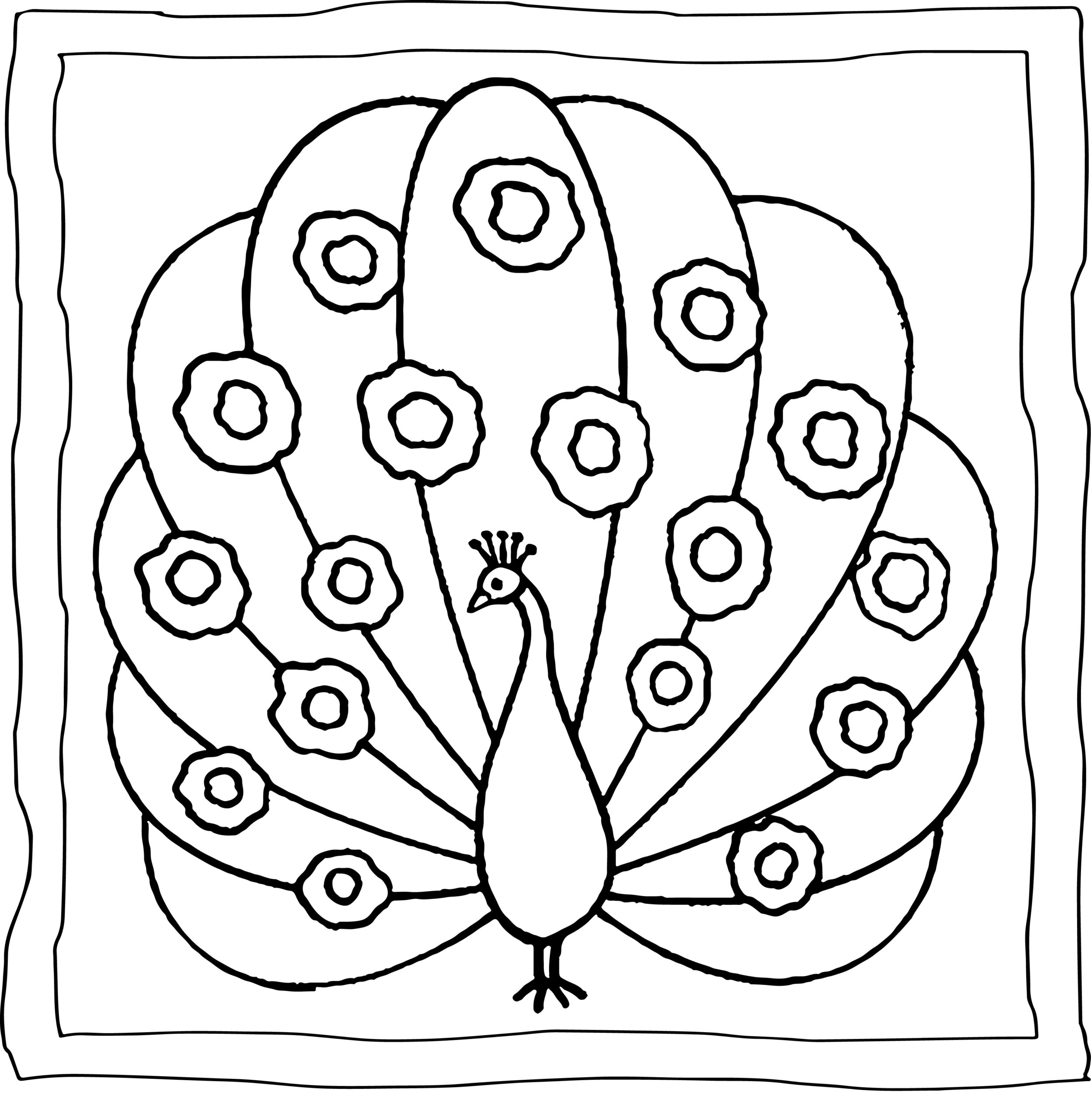 Peacock coloring book easy and fun peacock coloring pages for kids made by teachers